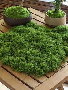 300 جرام / 100 جرام / 50 جرام من الطحالب الاصطناعية الواقعية - بلاستيك متين للديكور الداخلي والخارجي، مناسب لحاويات الزجاج والأصص والتنسيق الطبيعي، طحالب خضراء طبيعية بملمس واقعي، سهلة التركيب والصيانة، رائعة لديكور المنزل والحديقة، زراعة الطحالب، البستنة الداخلية، ديكور أصيص النبات المكتبي، مظهر طبيعي، سهل التركيب - مشاهدة 7