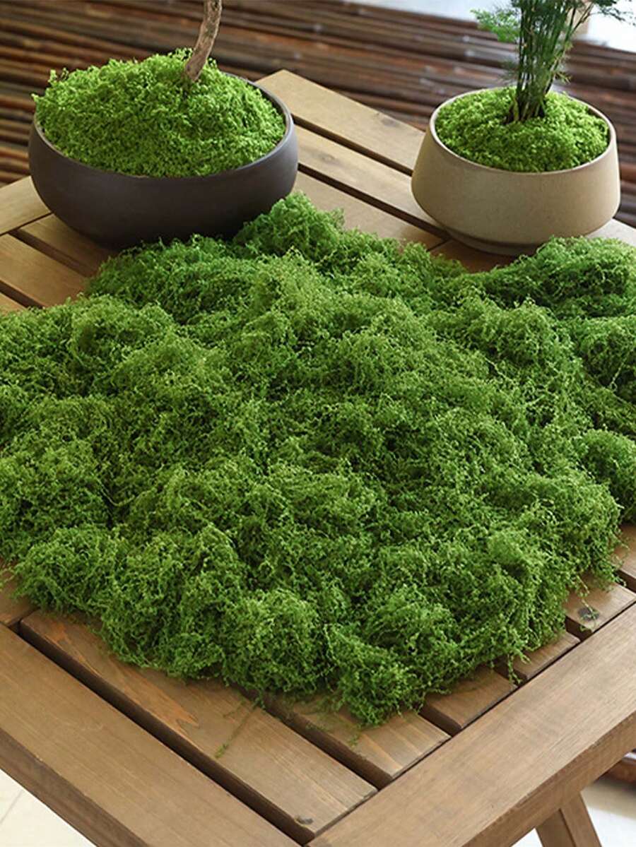 Rêu nhân tạo sống động như thật 300g/100g/50g - Chất liệu nhựa bền, tự làm, thích hợp trang trí trong nhà/ngoài trời, phù hợp với bình thủy tinh, chậu cây và cảnh quan, rêu xanh tự nhiên với kết cấu chân thực, dễ lắp đặt và bảo trì, tuyệt vời cho trang trí nhà cửa và sân vườn, rêu trồng cây, làm vườn trong nhà, tự làm trang trí chậu cây mini văn phòng, vẻ ngoài tự nhiên, dễ lắp đặt. - Xem 1