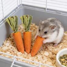 Conjunto de Brinquedos para Roer e Petiscos para Hamster: Pedras de Roer com Sabor de Cenoura e Morango, Petiscos de Grama Seca para Hamster (Decorativo e Funcional) - Laranja - Visão 1