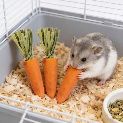 Hamster Chew Toys & Snacks Set: Carrot & Strawberry Flavored Chew Stones, Hamster Dried Grass Snacks (Decorative & Functional)