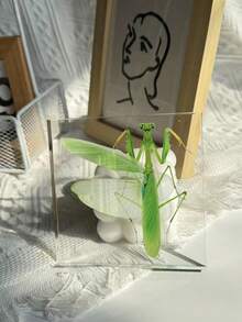 1 Mô hình bọ ngựa cỡ lớn (10CM) trong suốt, mẫu vật côn trùng bọ ngựa, mô hình động vật được bảo quản vĩnh viễn, đồ thủ công mỹ nghệ, in hình mẫu vật bọ ngựa chân thực nhất trong tự nhiên, mô hình côn trùng động thực vật hình vuông trong suốt màu hổ phách, đồ trang trí thủ công mỹ nghệ (Acrylic hai mặt) - bọ ngựa - Xem 6