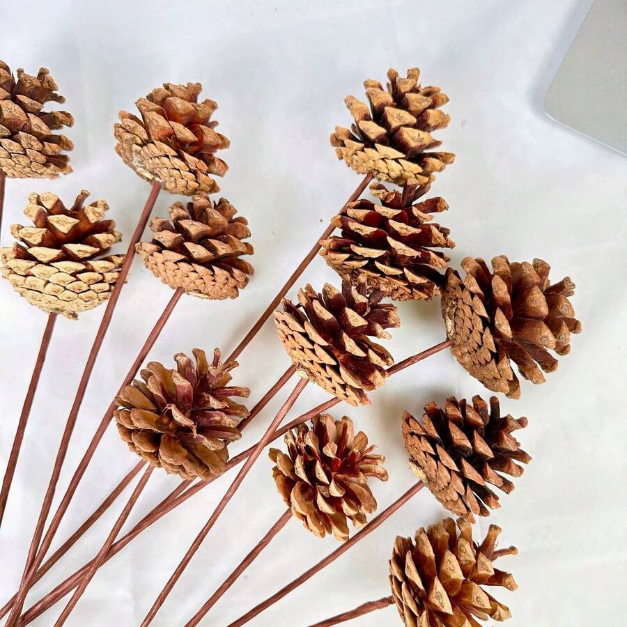 10pcs Artificial Pine Cones With Stems, Brown Pinecone Filler Flowers, Fake Plants For Home, Wedding, Fall Party, Living Room Decor, Thanksgiving DIY Christmas Wreath, Christmas Decoration, Winter Artificial Decor, Boho Style Decor, Outdoor Garden Table Decor, Women/Girls Home Decor Gift - Brown - View 1