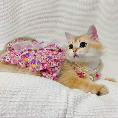 Pet Dog Cat Clothes, Pink Floral Suspender Dress, Mesh Big Bow Dress Costume, Suitable For Valentine's Day