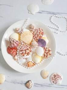 150g Natural Mixed Seashell Filler, White Tropical Seashells, DIY Craft Seashells, Beach Wedding Decor, Coastal Boho Decor, Seashell Decor