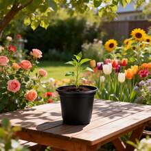 100pcs Small Flower Pots And Seedling Pots - Made For Outdoor Succulent Mini Garden & Seed Germination - Black - View 3