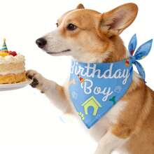 Dog Birthday Bandana Scarf, Happy Birthday Boy Girl Dog Neckerchief, Pet Birthday Party Costume Accessories - Multicolor - View 6