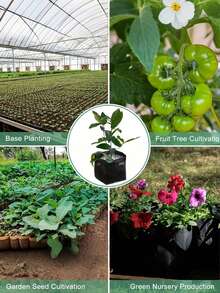 50 Pcs/Set Non-Woven Fabric Plant Grow Bags, Mixed Sizes Planter Containers, Suitable For Indoor & Outdoor Planting, Seedling Raising, Soil Transplanting, Home Gardening, Vegetable, Flower, Sapling Cultivation - Multicolor - View 8