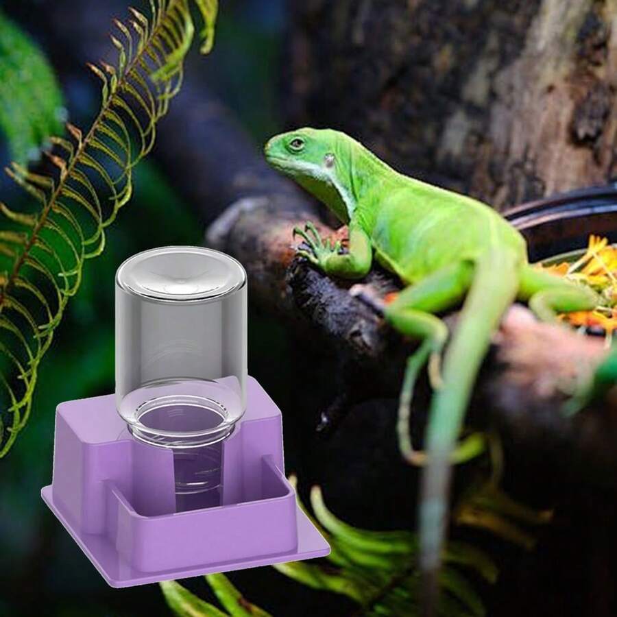 Multifunctional Transparent Reptiles Water Bowl Automatic Refill Function Reptiles Multi Level Design - Multicolor - View 1