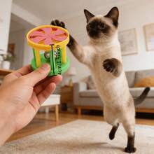 10pcs/Set Mainan Kucing Acak | Set Mainan Interaktif Multi-Kucing Tahan Lama | Mainan Kucing Peliharaan Berbagai Gaya, Cocok Untuk Semua Ras Anak Kucing - MultiWarna - View 3