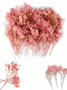 50支迷你干花满天星 | 3000+朵天然象牙白婴儿满天星 | 散装压制花材，适用于婚礼、卡片制作和DIY手工艺品 - 白色 - 查看 4