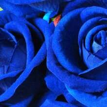 50/5/10/20/30/1 szt. Sztuczna ciemnoniebieska róża, sztuczna róża, nadaje się do samodzielnego wykonania bukietu ślubnego, dekoracji stołu, na wieczór panieński, walentynkowy, baby shower - Niebieski i biały - Zobacz 8
