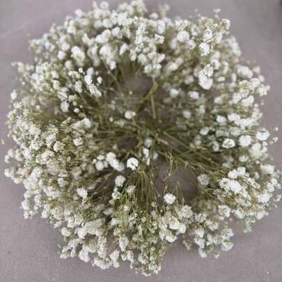50/100pcs Artificial Mini White Baby's Breath Flowers - Delicate, Durable And Easy To DIY Craft Flowers For Wedding, Home And Office Decor, Party And Garden - Tabletop Boho Style Wreath, No Feathers, No Electricity, Suitable For Christmas, Thanksgiving And Halloween