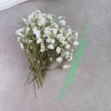 50/100支仿真迷你白色满天星 - 精致耐用，易于DIY，适用于婚礼、家居和办公室装饰、派对和花园 - 可制作桌面波西米亚风花环，无羽毛，无需用电，适合圣诞节、感恩节和万圣节 - 白色 - 查看 7