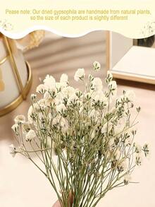 50支迷你干花满天星 | 3000+朵天然象牙白婴儿满天星 | 散装压制花材，适用于婚礼、卡片制作和DIY手工艺品 - 白色 - 查看 10