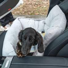 HazoWill Pet Car Booster Seat And Travel Bed, Suitable For Small Dogs And Cats, Elevated Seat With Non-Slip Base And Adjustable Straps, Lightweight And Foldable, Multi-Functional Design, Fashionable And Comfortable, Ideal For Road Trips And Home Use - Multicolor - View 4