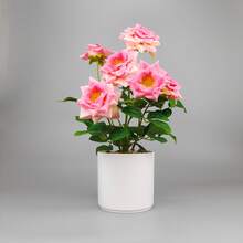 Imitierte Blume saisonale Rose grüne Topfpflanzen, geeignet für weiche Dekoration zuhause, Wohnzimmer Kaffeetisch Dekoration, Blumenschmuck, Heimdekoration künstliche Pflanzen, Innen-Simulationspflanzen, geeignet für Heimdekoration und Partyarrangements - Künstliche rosa Topfpflanze - Übersicht 9