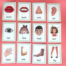 1pc Unisex Waterproof Laminated Flash Cards, Toddler Learning Set For Alphabet & Animal Recognition, Early Childhood Educational Toys For Vocabulary Building, Preschool Learning Materials For Parents & Kids - Birthday Gift, Christmas Gift, Perfect Gift, Stationery, Stress Ball - Multicolor - View 17