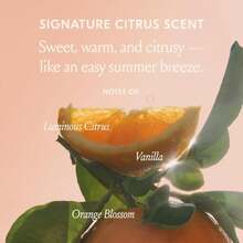 Dae Hair 3-In-1 Styling Cream (Styling Trio) - MàuC - Xem 3