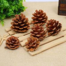 10pcs Artificial Pine Cones With Stems, Brown Pinecone Filler Flowers, Fake Plants For Home, Wedding, Fall Party, Living Room Decor, Thanksgiving DIY Christmas Wreath, Christmas Decoration, Winter Artificial Decor, Boho Style Decor, Outdoor Garden Table Decor, Women/Girls Home Decor Gift - Brown - View 7