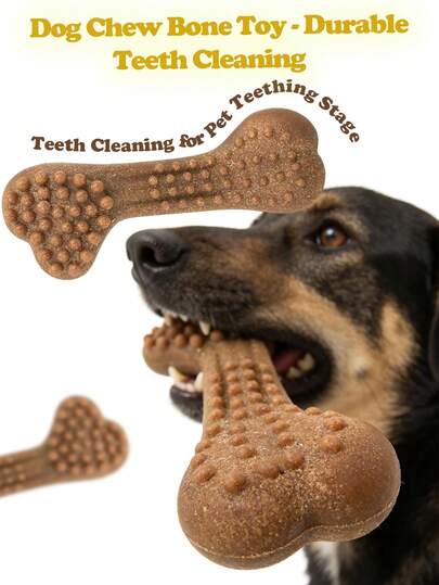 1pc/2pcs Pet Chew Toy, Realistic Bone Shaped To Stimulate Dog's Chewing Interest, Satisfy Chewing Instinct, Surface Textured To Deeply Clean Teeth And Massage Gums, Prevent Tartar, Relieve Discomfort During Teething, Suitable For All Size For Solo Play, Outdoor Comfort, And Interactive Play, Pet Supplies, Dog Toy