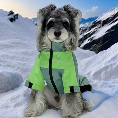 High-End Dog Jacket With Patchwork Pattern, Brand Name, Exportable For Teddy, Pomeranian, Schnauzer And Corgi Breeds.