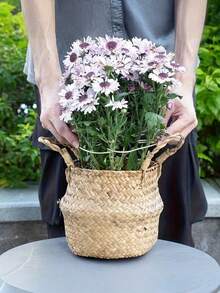 12/6/2/1件装金属龟壳叶形植物支架 - 耐用强力夹，龟壳竹子支撑系统，植物茎秆固定器，促进植物健康生长，装饰性花园支撑结构，攀援植物棚架，金属稳定器，植物生长支撑，植物支撑结构，攀援植物棚架 - 金色 - 查看 7