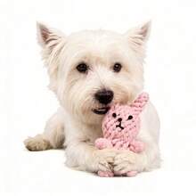 Colorful Handmade Woven Dog Rope Toys, Funny Animal Strawberry Pineapple Rope Toys, Cartoon Carrot Rope, Rabbit/Lion/Octopus/Elephant/Bear Plush Toys, Suitable For Training, Teeth Cleaning And Interactive Play For Medium And Small Dogs, Pet Supplies - Multicolor - View 11