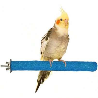 Parrot Perch Stand, Natural Wood Bird Perch Stand Platform Paw Grinding Sticks, Cage Accessories Exercise Toys For Budgies Parakeets Cockatiels (Random Color 1Pc) : Pet Supplies