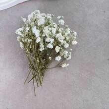 50/100支仿真迷你白色满天星 - 精致耐用，易于DIY，适用于婚礼、家居和办公室装饰、派对和花园 - 可制作桌面波西米亚风花环，无羽毛，无需用电，适合圣诞节、感恩节和万圣节 - 白色 - 查看 13