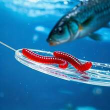 30pcs High Quality Realistic Red Earthworm Fishing Bait, Worm Soft Bait, Red Worm & Maggot Bionic Worm Design - Scented Lure Suitable For Freshwater And Saltwater Fishing, Durable Thermoplastic Rubber Material, Natural Appearance, High-Quality Bait - Multicolor - View 3