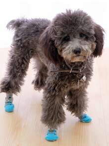 4pcs/Set Anti-Slip Warm Dog Socks, Soft & Breathable, Suitable For Small & Medium Dogs, Teddy Dogs - Multicolor - View 9