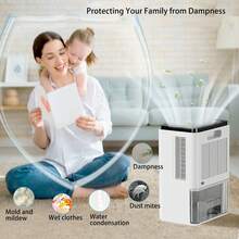 Dehumidifiers - View 4