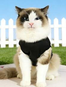 1件宠物猫咪衣服，轻便透气无袖背心，防掉毛，适合小型犬幼犬，春夏宠物服装 - 黑色 - 查看 4