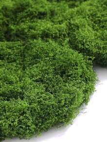 300 جرام / 100 جرام / 50 جرام من الطحالب الاصطناعية الواقعية - بلاستيك متين للديكور الداخلي والخارجي، مناسب لحاويات الزجاج والأصص والتنسيق الطبيعي، طحالب خضراء طبيعية بملمس واقعي، سهلة التركيب والصيانة، رائعة لديكور المنزل والحديقة، زراعة الطحالب، البستنة الداخلية، ديكور أصيص النبات المكتبي، مظهر طبيعي، سهل التركيب - مشاهدة 9