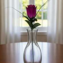 Rosa Fucsia