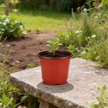 100pcs Seedling Pots & Plant Pots - Ideal For Garden Succulent Seedling Establishment & Vegetable Sowing