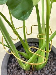 12/6/2/1件装金属龟壳叶形植物支架 - 耐用强力夹，龟壳竹子支撑系统，植物茎秆固定器，促进植物健康生长，装饰性花园支撑结构，攀援植物棚架，金属稳定器，植物生长支撑，植物支撑结构，攀援植物棚架 - 金色 - 查看 3