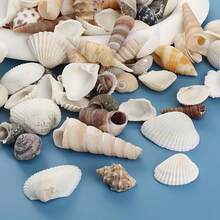 110克混合贝壳，包括贝壳、海螺、扇贝，可用于水族箱装饰、创意摄影道具和珠宝制作。 - A - 查看 5