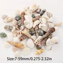 110克混合贝壳，包括贝壳、海螺、扇贝，可用于水族箱装饰、创意摄影道具和珠宝制作。 - A - 查看 4