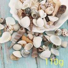 110克混合贝壳，包括贝壳、海螺、扇贝，可用于水族箱装饰、创意摄影道具和珠宝制作。 - A - 查看 10