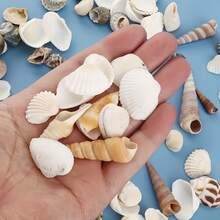 110克混合贝壳，包括贝壳、海螺、扇贝，可用于水族箱装饰、创意摄影道具和珠宝制作。 - A - 查看 6
