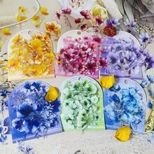 40 miếng dán hoa bằng nhựa, thích hợp cho sổ lưu niệm, làm thiệp, viết nhật ký - Phù hợp cho người yêu thích thủ công mỹ nghệ. Công ty TNHH Thương mại điện tử Yiwu HanPan. - Nhiều màu - Xem 1