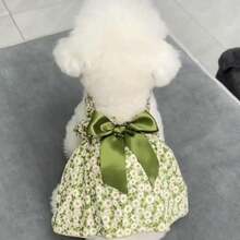 Small Dog Summer Princess Strap Dress, Pet Apparel For Small/Medium Dogs - Multicolor - View 7