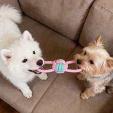 粉绿相间的狗狗磨牙绳玩具，手工编织，色彩缤纷，经久耐用，适合狗狗咀嚼、清洁牙齿、维护口腔健康，适合中小型犬，可用于拔河、捡球游戏等，是爱啃咬的狗狗的理想玩具，趣味十足，易于清洁，结构坚固。 - 彩色 - 查看 4