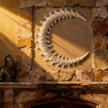 Gothic Anatomical Wall Decor, Featuring Spine & Moon Art, Inspired By Dark Academia Style, Suitable For Bedroom And Living Room As Sculptural Decoration - White - View 6
