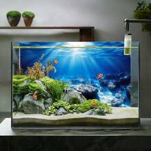 Sunlight Blue Sea Reef, Fish Tank Background Painting, Aquarium Background Sticker, Aquarium Background Board, Easy To Replace, No Residual Glue, Provide Various Standard Sizes To Fit Different Aquarium Sizes, Immersive Landscaping, Marine World Fish Tank Background Painting, Instantly Enhance The Layering And Depth Of The Aquarium, Aquarium Accessories - A - View 4