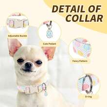 1件复活节卡通笑脸、胡萝卜、彩蛋、兔子主题宠物项圈，配有快拆安全扣，耐用透气，带兔子吊坠，适合小型/中型/大型犬，是幼犬生日礼物、宠物节日装扮、遛狗配件、宠物主人节日礼物的理想之选。 - 白色 - 查看 3