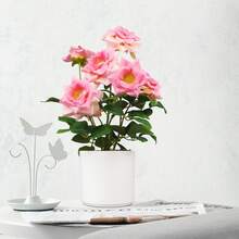 Imitierte Blume saisonale Rose grüne Topfpflanzen, geeignet für weiche Dekoration zuhause, Wohnzimmer Kaffeetisch Dekoration, Blumenschmuck, Heimdekoration künstliche Pflanzen, Innen-Simulationspflanzen, geeignet für Heimdekoration und Partyarrangements - Künstliche rosa Topfpflanze - Übersicht 5