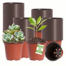 50/100个 3.5英寸植物育苗育苗盆，用于园艺、扦插和移植花卉植物的育苗盘 - 彩色 - 查看 4