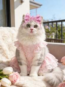 2件套亮片皇冠宠物头箍发饰，精致猫狗装扮配饰，可爱蝴蝶结狗狗头饰，幼犬服装，生日派对可爱宠物装扮，柔软弹力带，适合猫狗，节日拍照配饰，完美适用于圣诞节/生日/情人节/约会氛围 - 彩色 - 查看 4